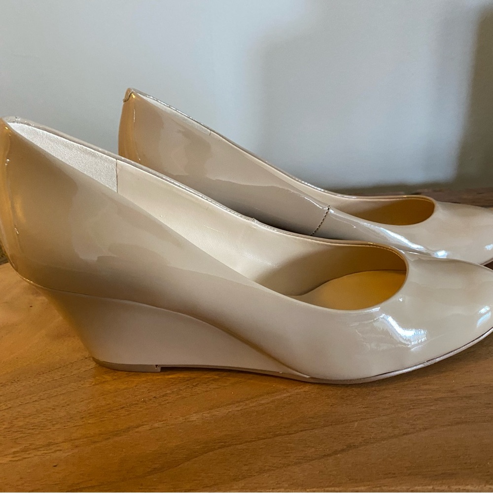 Mela Wedge Pump